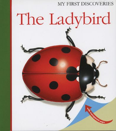 The Ladybird (My First Discovery) - (HB)