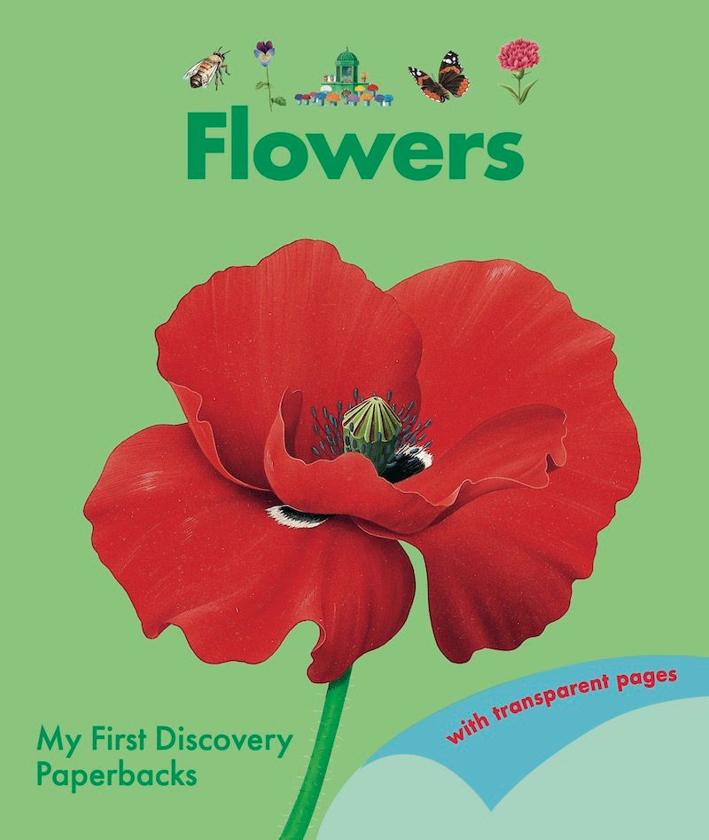 Flower (My First Discovery) - (PB)