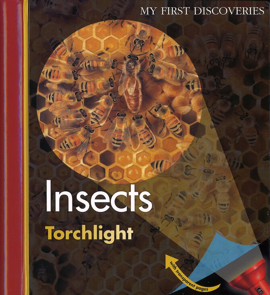 Insects - My First Discoveries (HB)