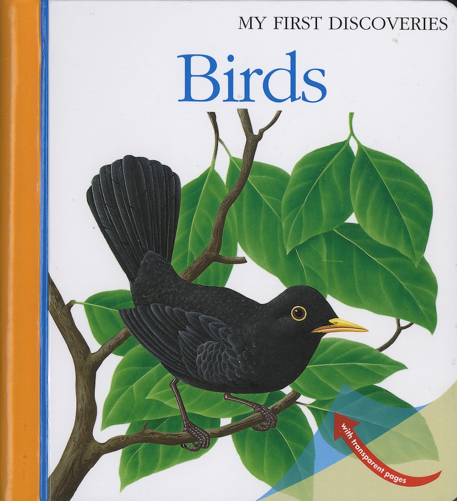 Birds - My First Discoveries (HB)