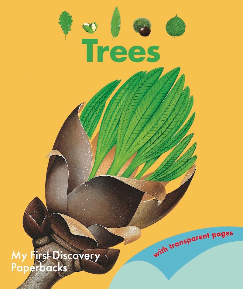 Trees (My First Discovery) - (PB)
