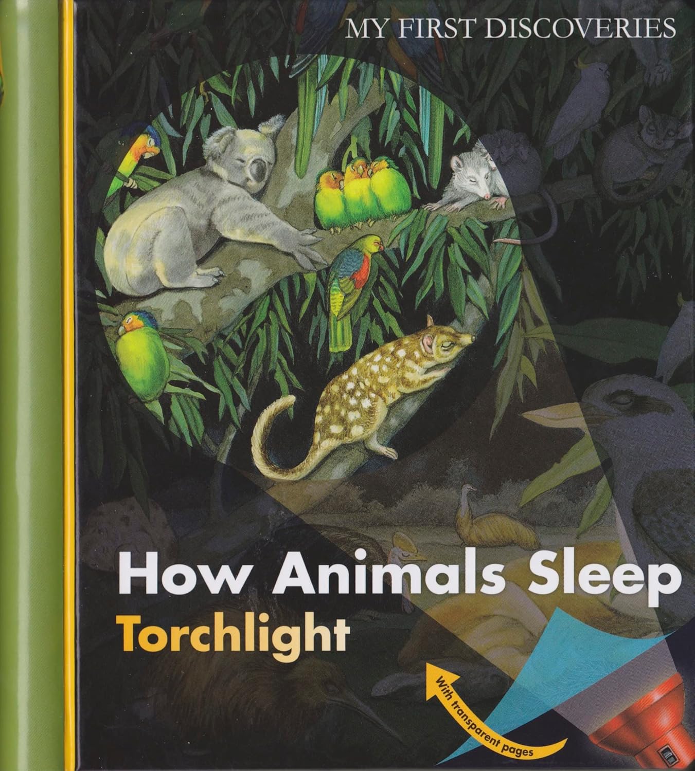 How Animal Sleep - My First Discoveries (HB)