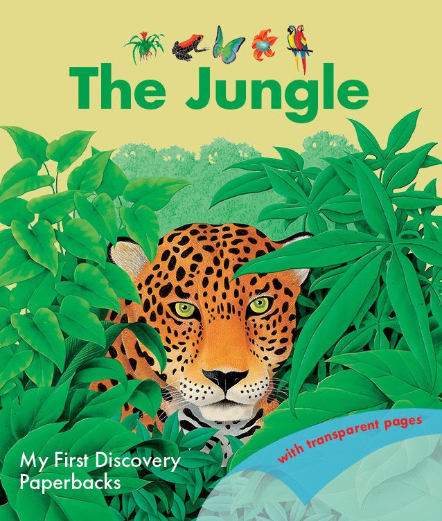 The Jungle (My First Discovery) - (PB)